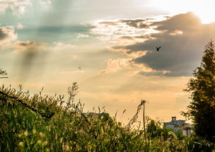 初试风光摄影 义乌新光汇