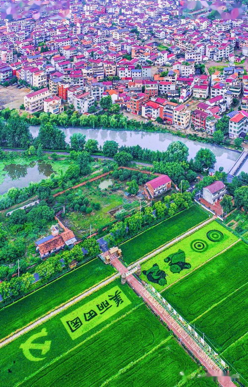 最高奖3000元 首届 忆时光 甜美义亭 摄影大赛等你来