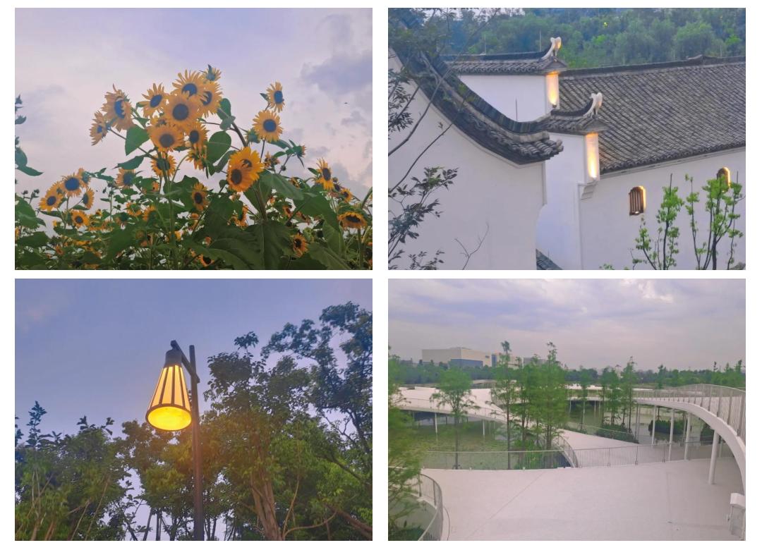 义乌横塘公园:拍照打卡的绝佳地点