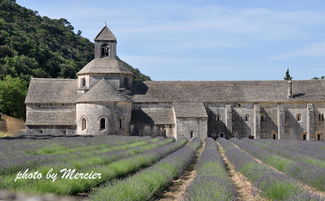 摄影之旅 法国11日9晚跟团游 巴黎卢浮宫 塞纳河游船 凡尔赛宫