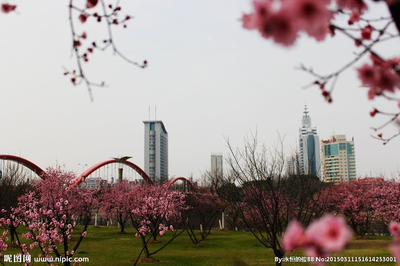 春天里的义乌摄影图__建筑景观_自然景观_摄影图库