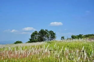 义乌的夏天哪里好玩？跟着镜头玩转义乌摄影胜地