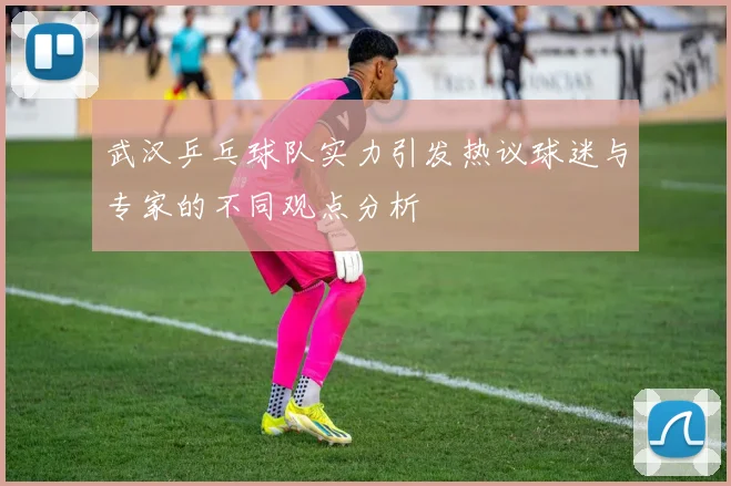 武汉乒乓球队实力引发热议球迷与专家的不同观点分析