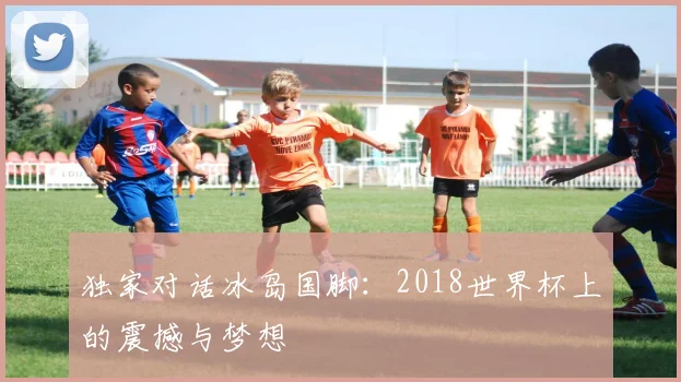 独家对话冰岛国脚：2018世界杯上的震撼与梦想
