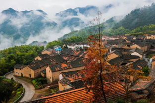 魅力义乌 多彩赤岸——镜头定格美景，采风摄影大赛邀您参与