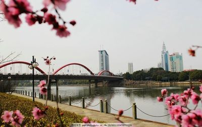 春水初生·镜观义乌江