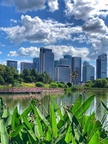 金华人眼中的世界 一一八 义乌摄影 镜头下的商贸脉搏与城市变迁